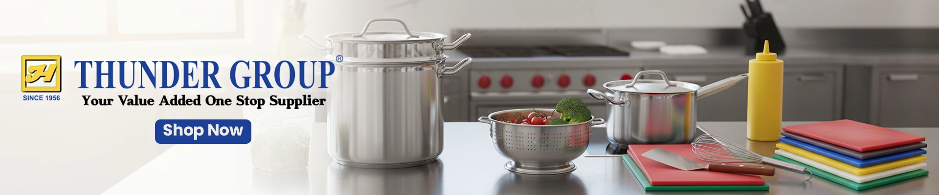 Thunder Group brand banner